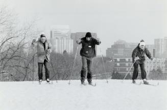 Doing their thing: Frank Corrigan, left, Ray Crites and Gerda Tismer - three members of Seniors for Nature