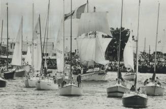 Thousands thrilled by tall ships, The Pathfinder, a local boat, is surrounded by smaller ones