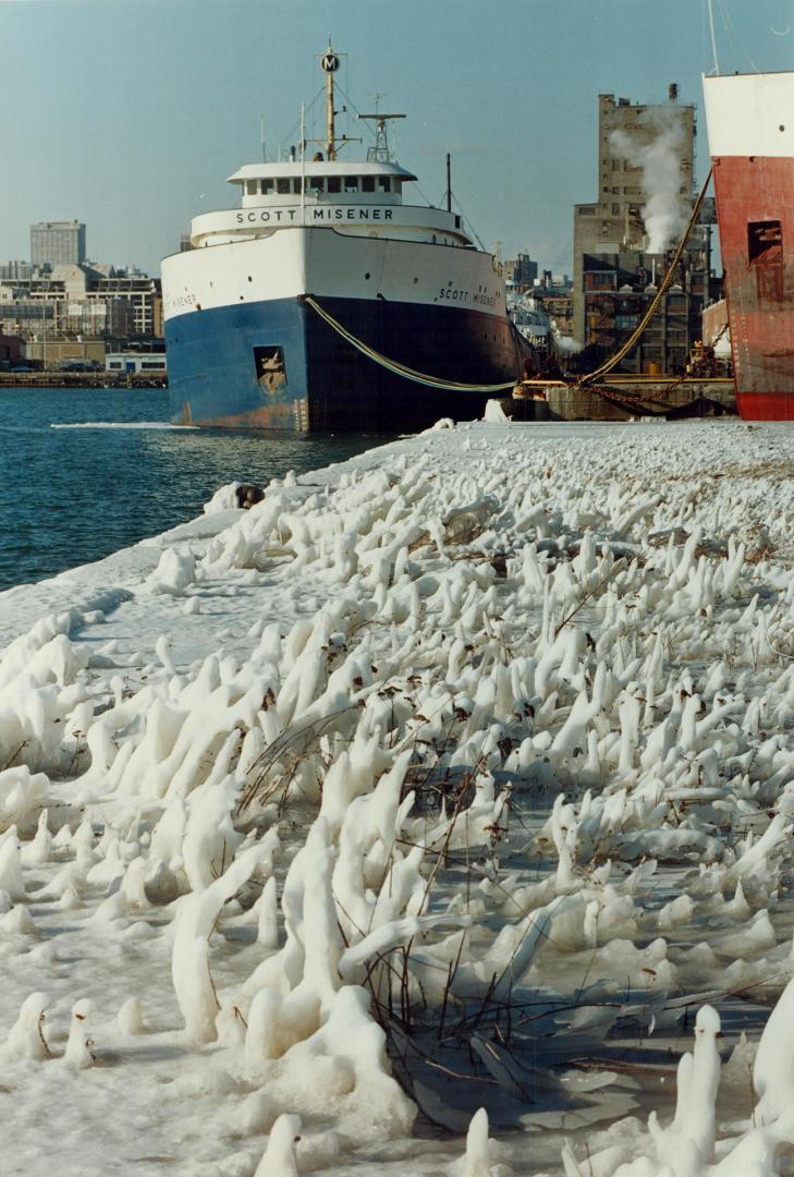 Troubles coming: When a new shipping season opens at the end of March, at least half of the grain carriers will remain tied up