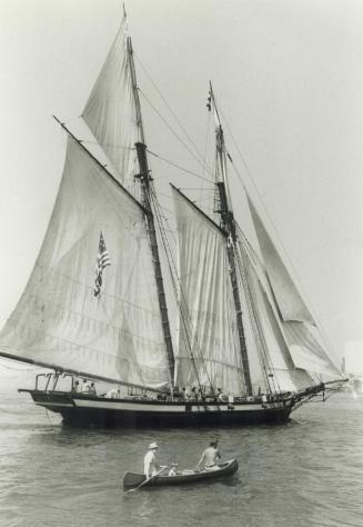 Wooden ships like Pride of Baltimore still need iron men - and women - as crew