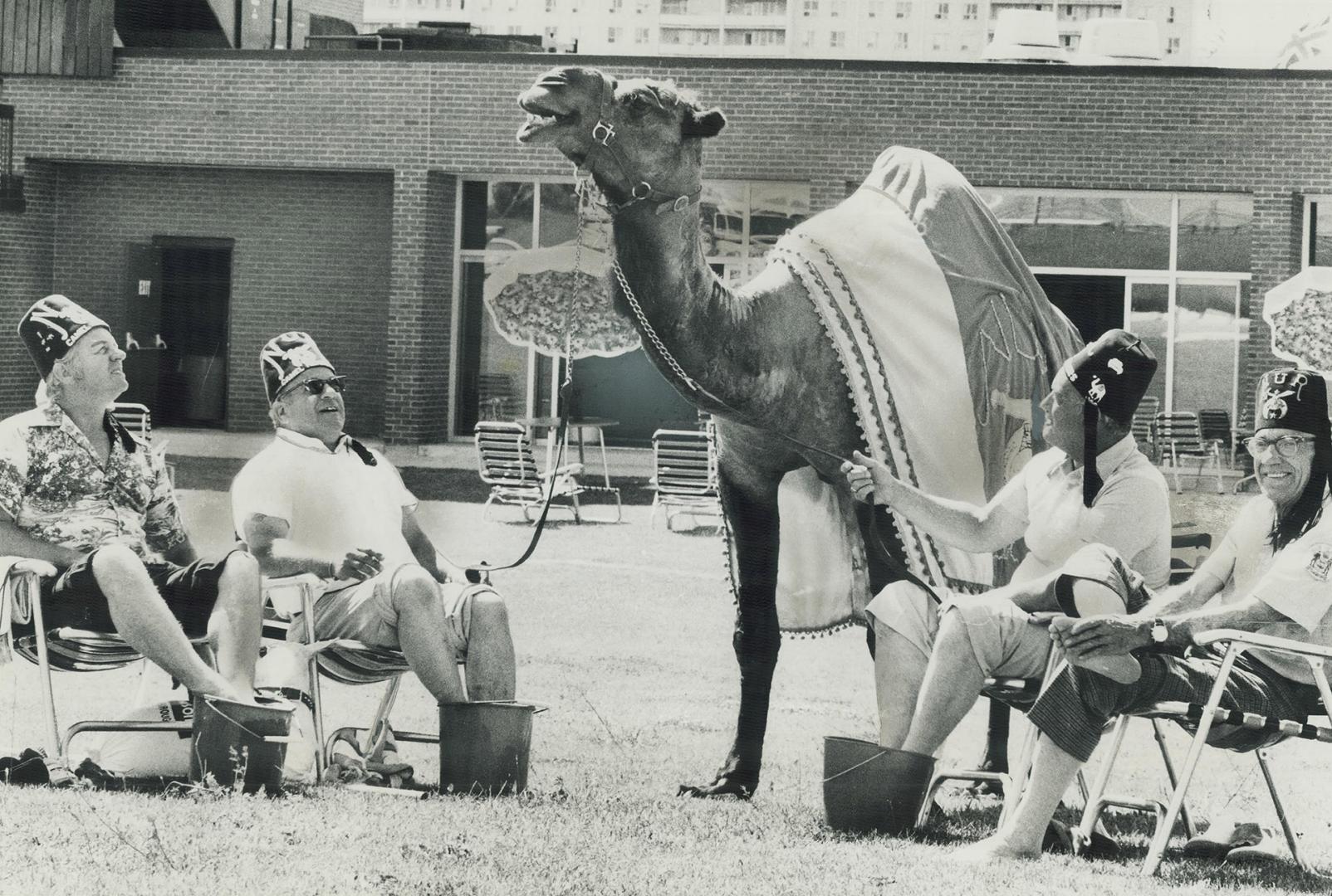 Before folding their tents and stealing away, four of 65,000 Shriners in Toronto all week for their annual convention soak their aching feet in bucket(...)