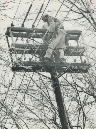 Snapped power lines are repaired by Toronto Hydro's Ron Dunn at Imperial St