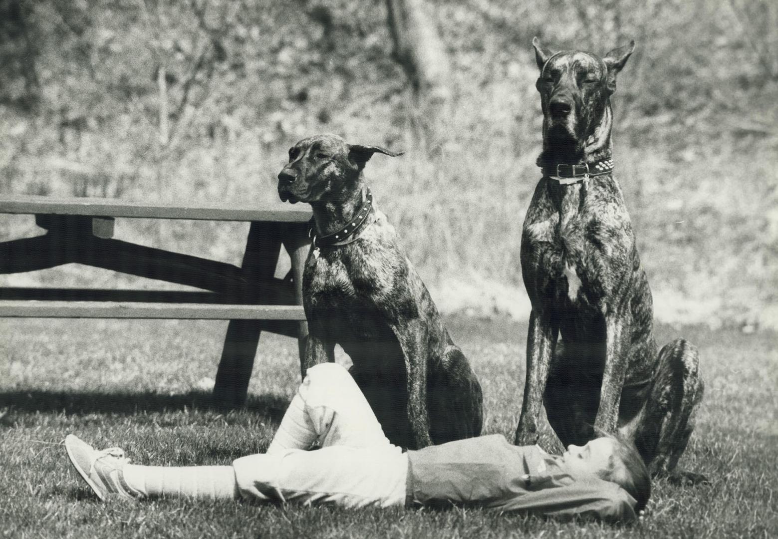 They stand on guard, The spring weather has arrived at last and what better way to spend the day than to take a snooze in Wilket Creek Park! But 5-yea(...)