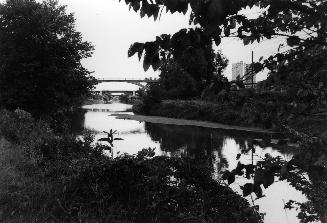 Don River looking north