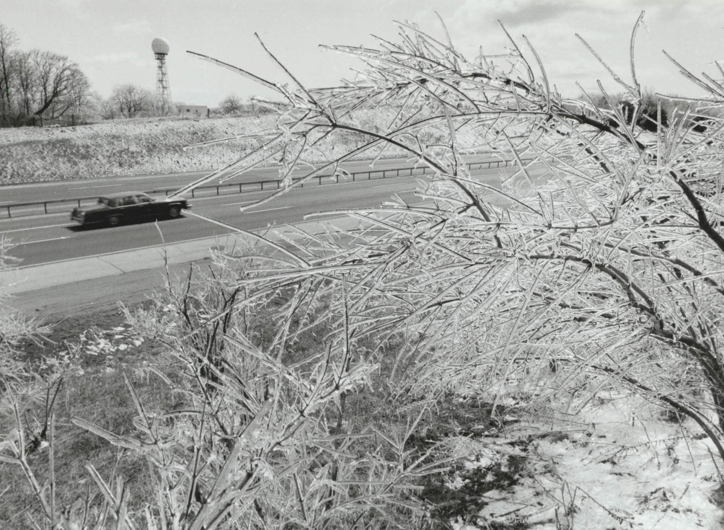 Ice Sculptures. Drivers on a section of Highway 400 north of the King Rd. cutoff notice one of nature's more dramatic visual effects yesterday -- tree(...)