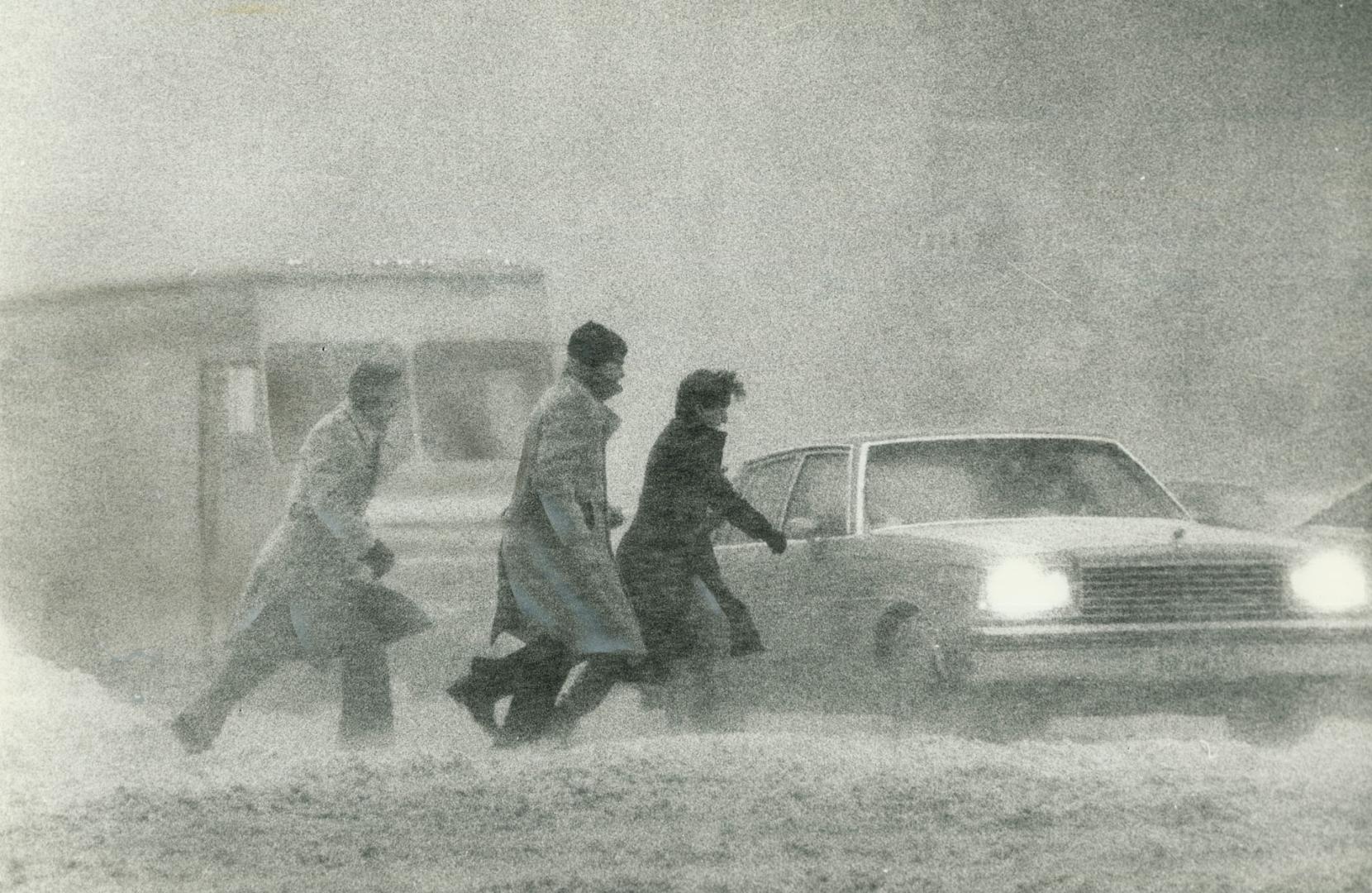 Pedestrians battle raging winds and biting snow as they flight their way across the corner at Spadina Ave