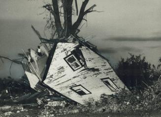 Collapsed farmhouse leans against tree in Southwestern Ontario village of Vanessa, flattened last night by a violent tornado