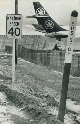 Grounded planes at an air canada Hangar