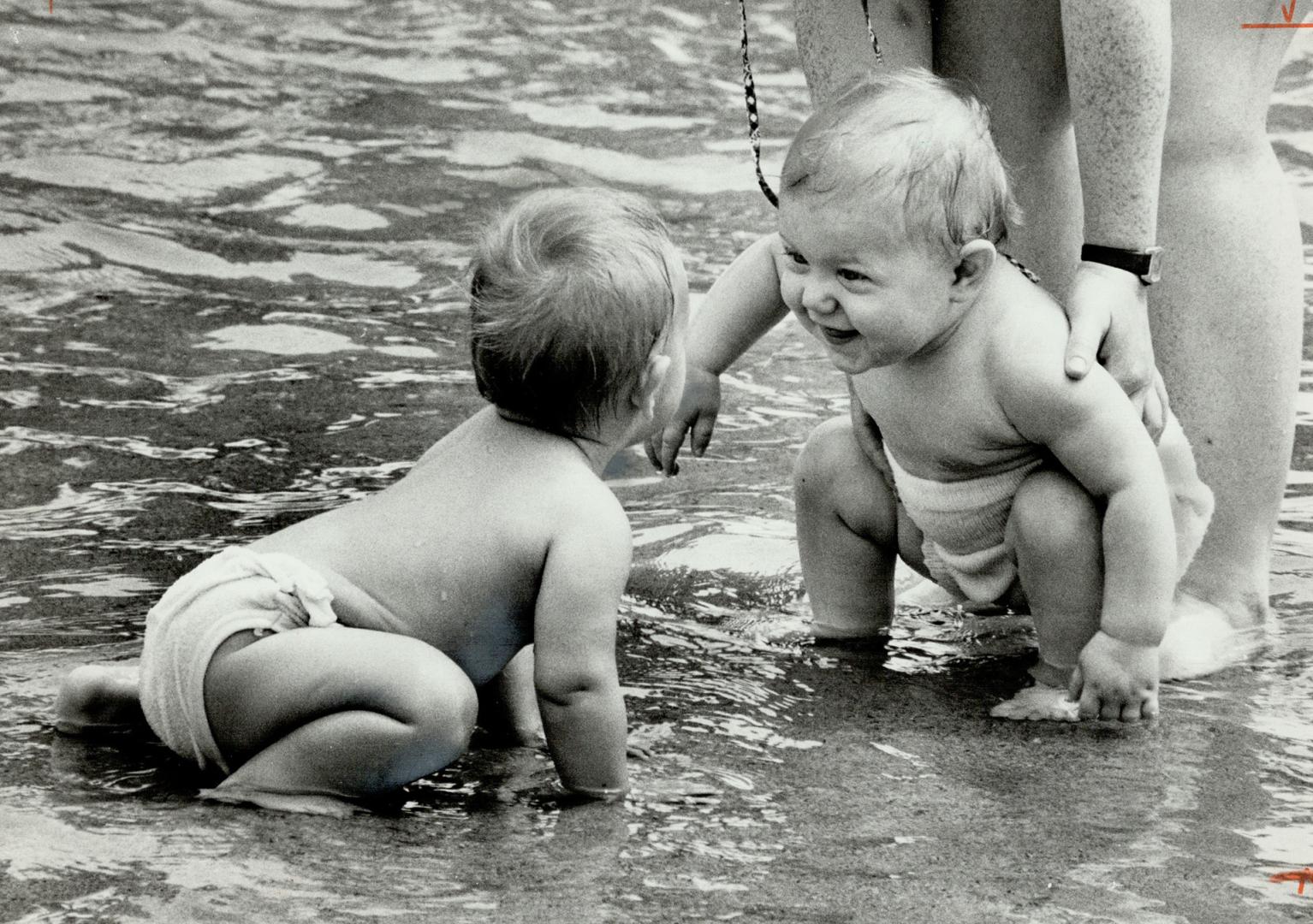 Water babies, These diapered tots have just met at the Sunnyside wading pool and, obviously, appeared unperturbed by yesterday's heat and humidity. Me(...)