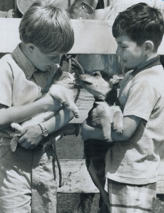 Making Friends with two of the four-legged playmates which will be at their summer camp are these two Montessori pupils