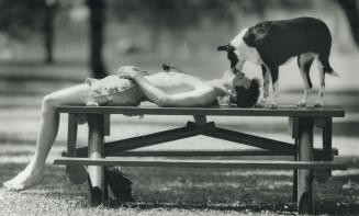 Sunbather gets a smooch from his pooch, Sunbather Jay Davidson soaks up some rays and some moist affection from his dog, Bear, on a picnic table at Sunnyside Beach yesterday afternoon