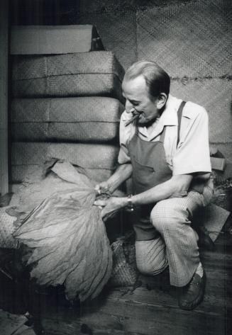 Kai Miller, 67, has been hand-rolling cigars for 53 years