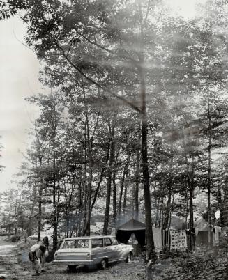 Campsites like this should be created in Claremont Conservation Park