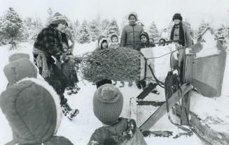 Horton Tree Farm worker Jamie Hopkins shows young school children how a cut Christmas tree is tied up with a mesh net by machine to make it easier to (...)