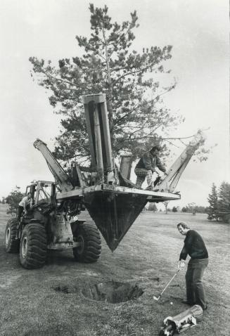 Please replace your Divots!, Some mechanical brawn is enlisted to help with tree-planting at the Bayview Golf and Country Club at Leslie St. and Steeles Ave