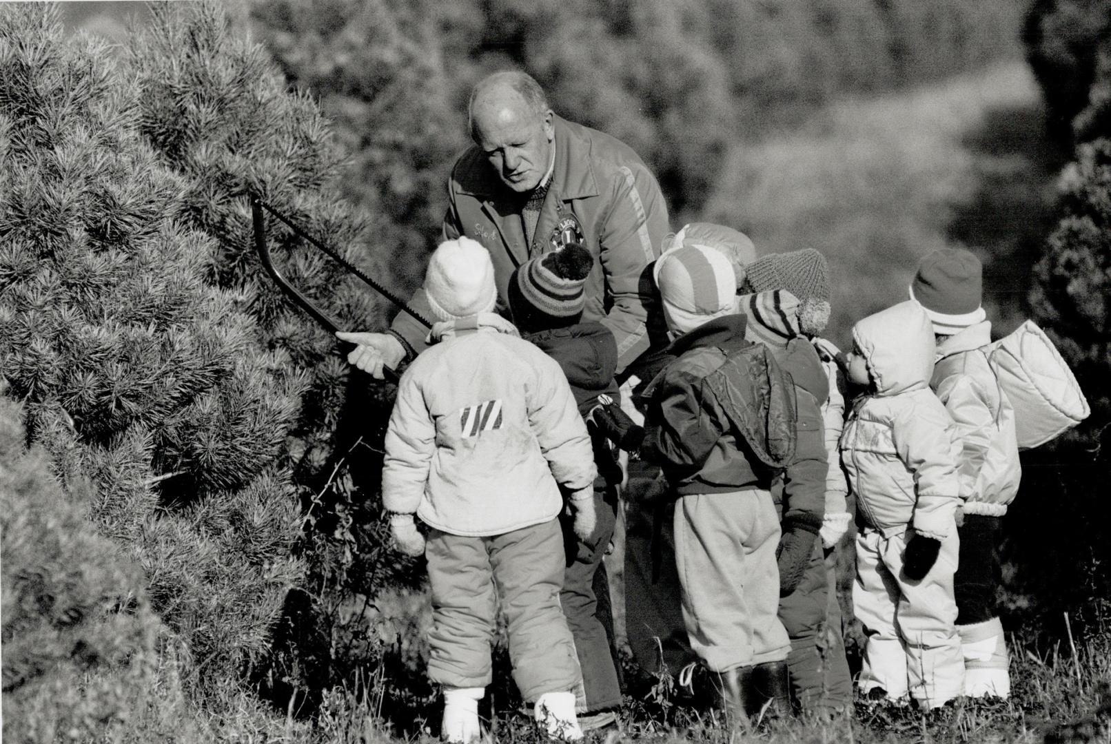 They saw a tree: Bob Murcott of Rolling Meadows Farm near Brooklin shows children how to cut down a Christmas tree