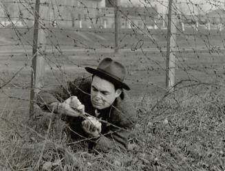 Picture at upper right shows the good old-fashioned way of escape by trying to unknot a barbed wire entanglement