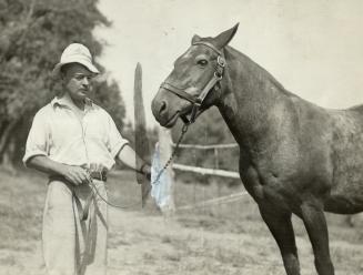 Right, another of the 80,000 horses sold by the British army immediately after the Great War