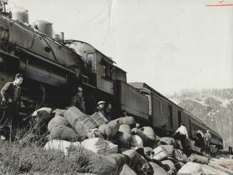 Piles of luggage (RIGHT) have just been unloaded from the train