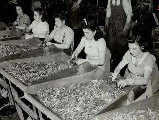 Checking Cartridges, soon to be spitting from a Spitfire into the heart of a Nazi bomber