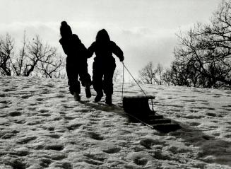 Tobogganing in High Park