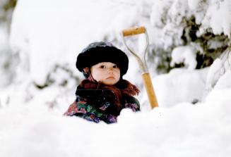 Too much: Two-year-old Miranda Trevor peers over the drifts this morning that the wind-whipped storm left behind