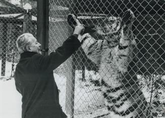 Professor Cas R. Van - Eysingin & Samtron tiger run Wasaga Beach