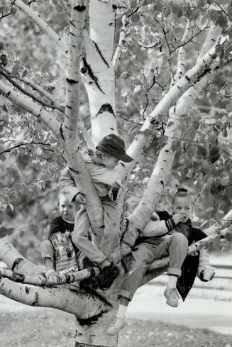 Out on a Limb, Just hanging out at High Park yesterday afternoon, Olivia Hall, 4 (left), Maddy McCabe-Lokos, 7, and Daisy McCabe-Lokos, 10, munch pota(...)