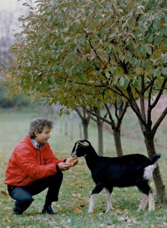 Making a last ditch stand. John Anga plays with one of his goats on his Etobicoke farm. One of the last farmers in the city, Anga wants to make repair(...)