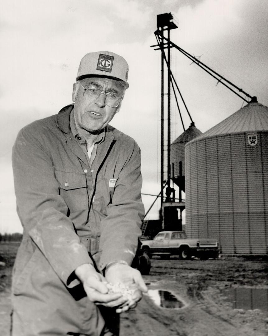 Walter Gimbel has seen grain prices plunge but he has faith that he'll survive