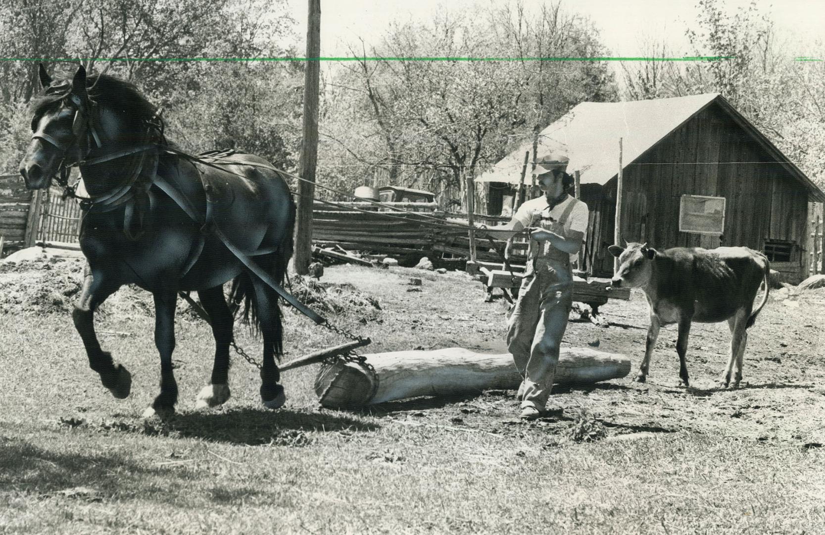 When uptight city folk move to the farm, what do they do? Hunker down, that's what, and set a spell