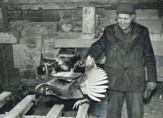 Joe Rittenhouse checks out the fresh egg supply and upsets a couple of hens in the barn