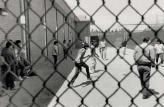 Cramped conditions: At the Plaza Hotel in Etobicoke, illegal immigrants exercise yesterday in the only recreation area - a parking lot the size of a suburban driveway