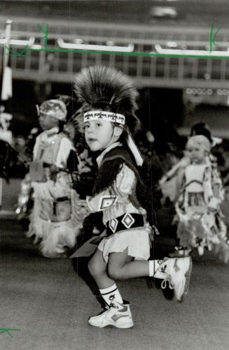 Sky Dome Pow Wow Grey Fox, 2