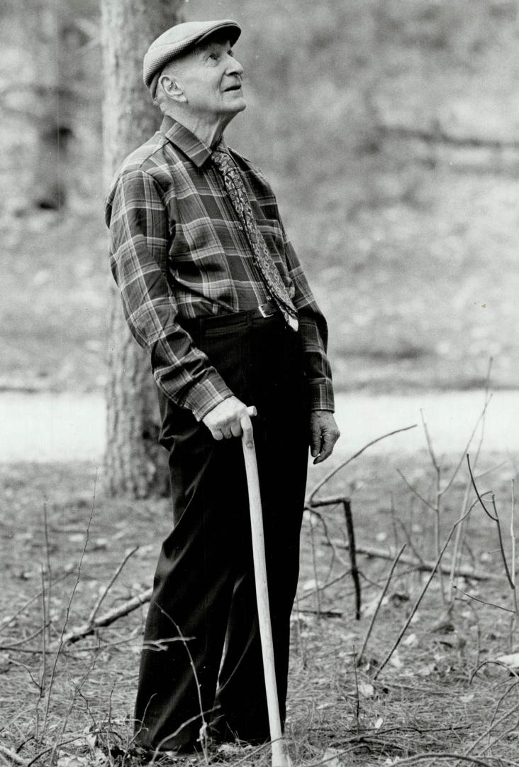 10,000 trees: Bob Charles, 90, has planted 10,000 trees on and near his own property