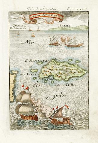 Isle de Zocotora