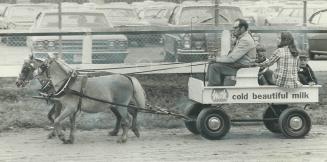 Pony cart rides were one of the events of the fair staged by Mennonites Saturday in New Hamburg to raise more than $90,000 for the Mennonite Central C(...)