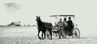 This restored surrey with a fringe on top will be auctioned at Mennonite sale