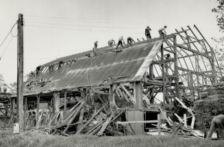 Mennonites tear down Barn, piece by piece, A 50-strong Mennonite group from the Elmira area on Monday tore down a huge barn in Vaughan, on the east si(...)