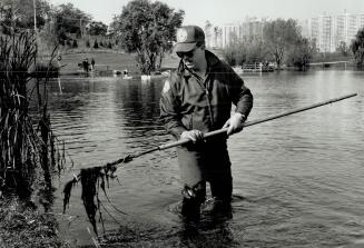 Search for missing woman continues, Police Constable Jim Swick probes the shoreline of the pond at Eglinton Flats near Jane St. yesterday to find some(...)