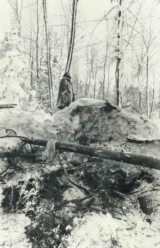 10-by-10-foot dugout is where Gordon Plummer, 40, his daughter, Tonya, 9, Don Nicholl, 45, and his son, Ken, 12, spent 72 harrowing hours on Beckwith (...)