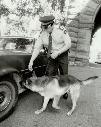 O.P.P. Stf. Sgt. Ab Boley with dog IRA Brampton detachm. Miller in press office with load of boxes