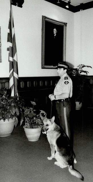 O.P.P. Stf. Sgt. Ab Boley with dog IRA Brampton detachm. Miller in press office with load of boxes