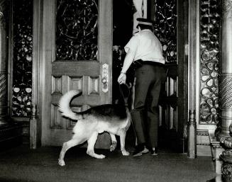 O.P.P. Stf, Sgt. Ab Boley with Dog IRA Brampton Detachm