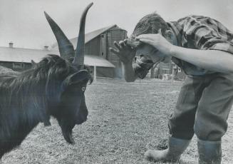 Getting his goat is half the battle, It's time out for teasing for youth taking farm course at Salvation Army's House of Concord for boys who need help