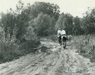 Sports - Horseback Riding