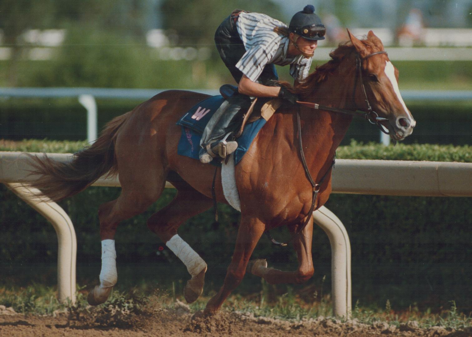 Taking aim at the plate. Blondeinamotel, a filly hoping to psych out the boys in Sunday's Queen's Plate, gets a workout from exercise rider Jackie Gra(...)