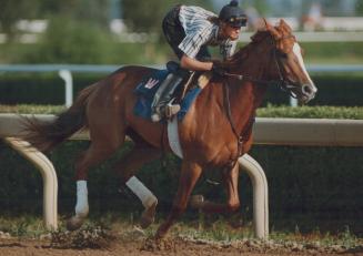 Taking aim at the plate. Blondeinamotel, a filly hoping to psych out the boys in Sunday's Queen's Plate, gets a workout from exercise rider Jackie Gra(...)