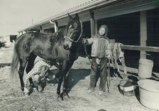 At left, Dan Giles and Tina DeJersey give Banzac a rubdown after workout