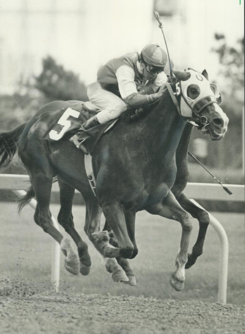 Jockey Robert King riding in the second race at Woodbine yesterday